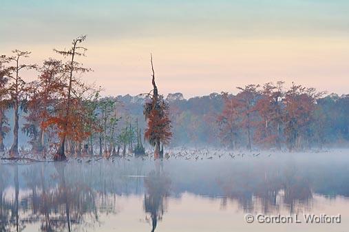 Misty Lake Martin_26661.jpg - Photographed at Lake Martin in the Cypress Island Preserve near Breaux Bridge, Louisiana, USA.